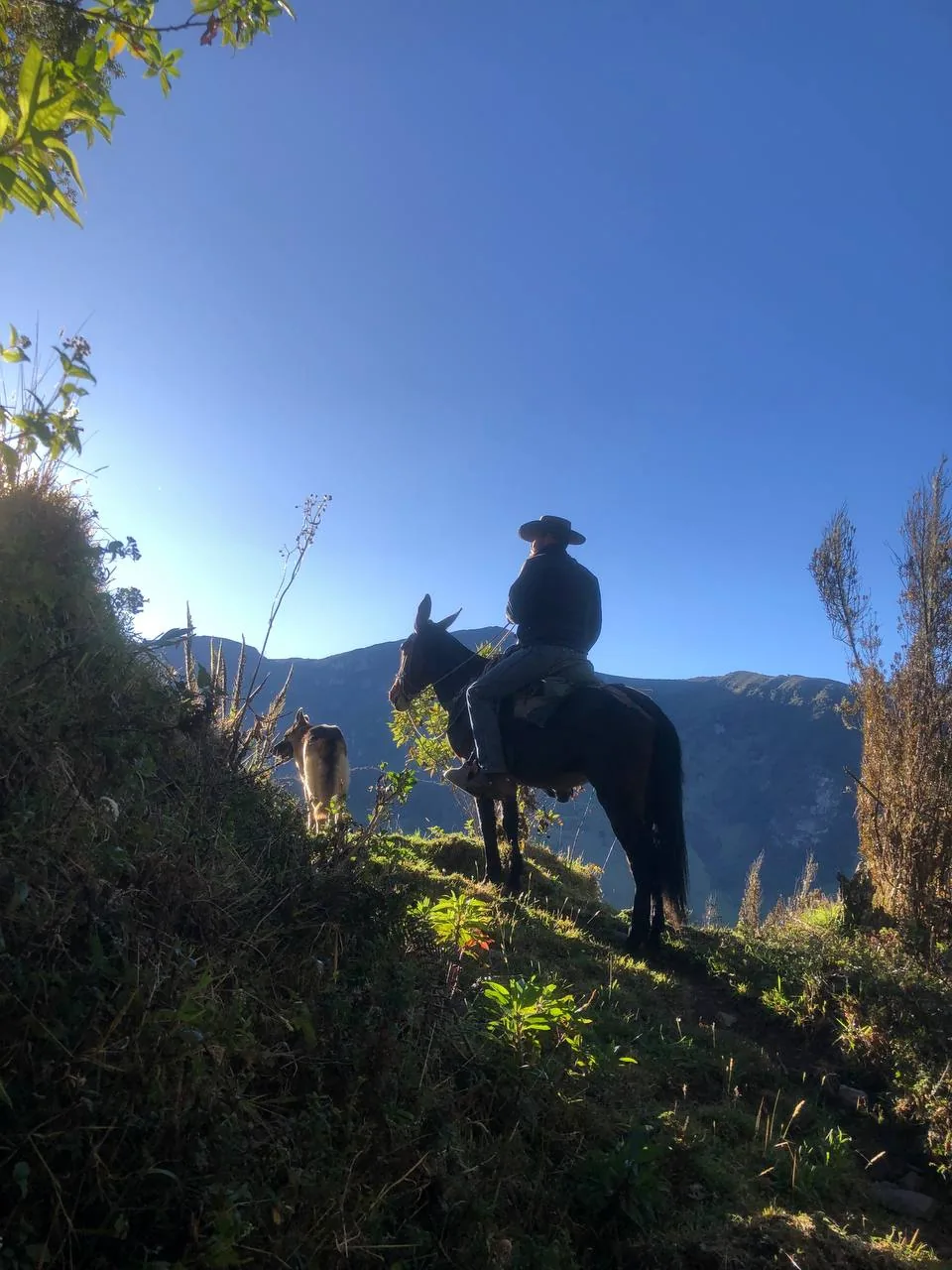 A rider in a hat silhouetted against a blue sky on a ridge.