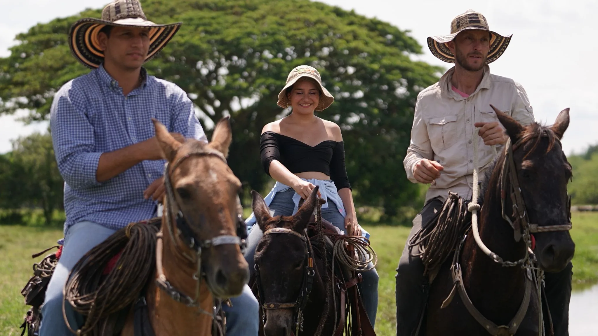Three riders in hats walking their horses through a meadow below a line of trees.